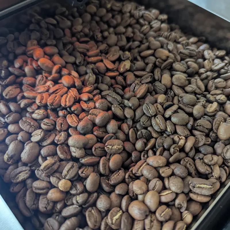Peru Norandino (Organic)